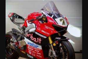 Complete and painted fairings with back seat Neoprene seat DUCV4AR17