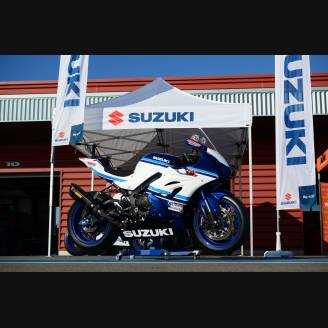 Complete and painted fairings 30° anniversary