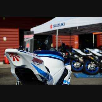 Complete and painted fairings 30° anniversary