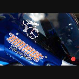 Complete and painted fairings 30° anniversary