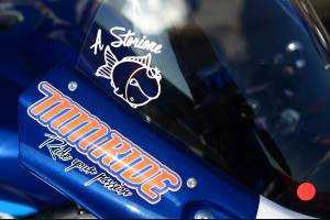 Complete and painted fairings 30° anniversary