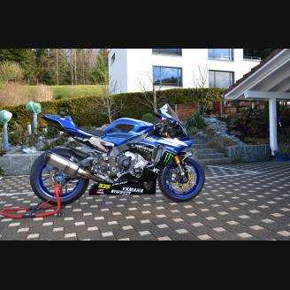 Complete and painted fairings Monster