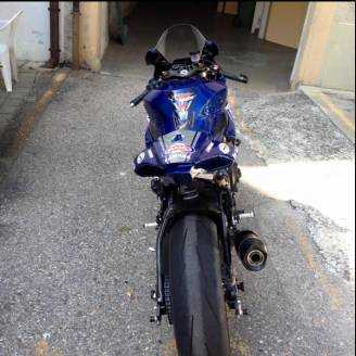 Complete and painted fairings SBK2016 Rizla