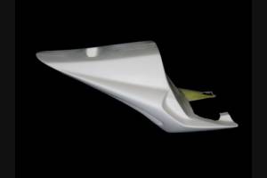 Carene complete senza parafango