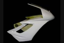 Complete fairings without front fender 