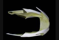 Carénages avant sans coque arrière 2