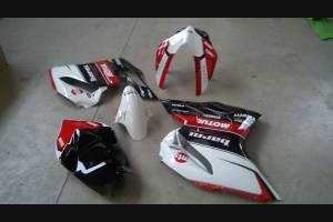 Complete and painted fairings Back seat neoprene BARNI SBK 2016 