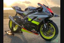 Complete and painted fairings YMR617 ANV