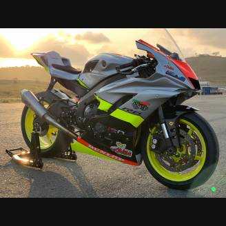 Complete and painted fairings YMR617 ANV