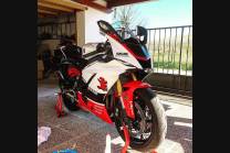 Complete and painted fairings in abs YAM17 ANN3