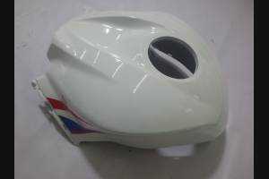 Complete and painted fairings in abs HND CBR 6G HGT 