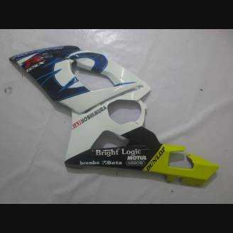 Complete and painted fairings in abs GSX 1C AL 