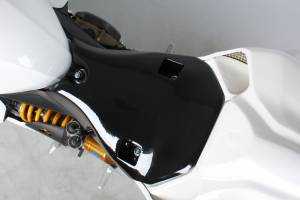 Verkleidungen ohne Hoecker Hoecker fur Akrapovic VS2 