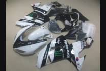Complete and painted fairings in abs MOWHT 2