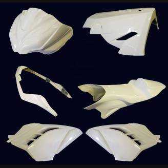 Complete and racing Fairings without Front Fender 