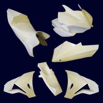 Complete and racing Fairings without Front Fender 