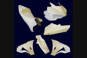 Complete and racing Fairings without Front Fender 