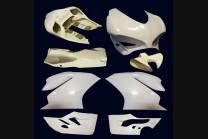 Carénages sans Pare-boue Silencieux Akrapovic Vers.2