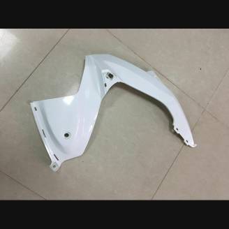 Verkleidungen abs mit Kotflugel zu lackieren