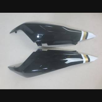 Complete and painted fairing in abs Ls