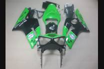 Complete and painted fairings in abs KWS 636 03 04 NK 2