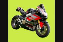 ABS Verkleidung Lackiert street Ducati Panigale V4 Akrapovic Auspuff DUCV4 RFBL