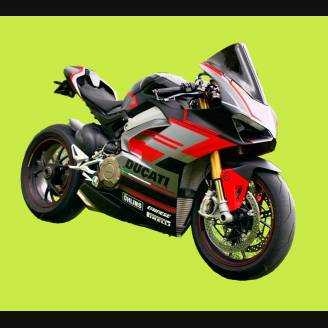 carenado ABS barnizado carrettera Ducati Panigale V4 para escape Akrapovic DUCV4 RFBL