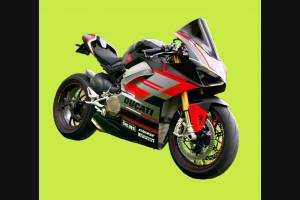 Carénages ABS peinture strett Ducati Panigale V4 pour Akrapovic Échappement DUCV4 RFBL