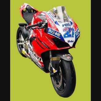 Carene ABS Verniciate Ducati Panigale V4 per scarico Akrapovic DUCV4 RFBL