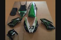 Complete and painted fairings Monster