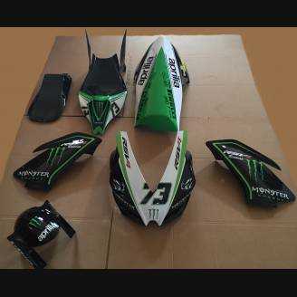 Complete and painted fairings Monster