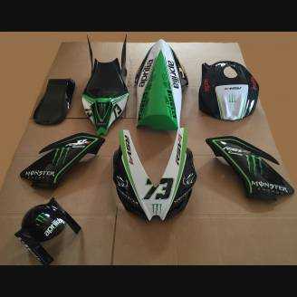 Complete and painted fairings Monster