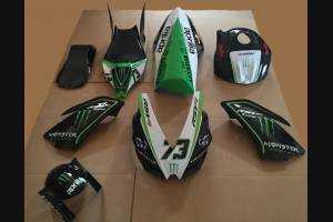 Complete and painted fairings Monster