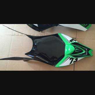 Complete and painted fairings Monster