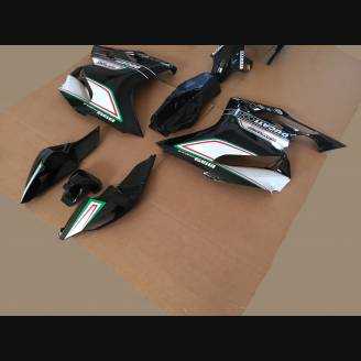 Complete and painted fairings CORSE TRICOLORE
