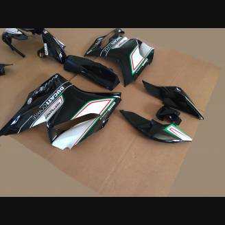 Complete and painted fairings CORSE TRICOLORE
