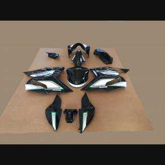 Complete and painted fairings CORSE TRICOLORE