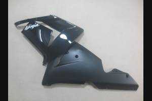 Lackierte Straße Verkleidung auf ABS kompatibel mit Kawasaki ZX10R 2004 - 2005 - MXPCAV1693