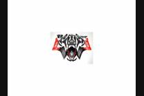 Painted street fairings in abs compatible with Aprilia RS4 125 2012 - 2017 -MXPCAV12199