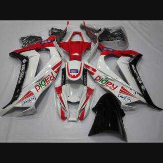 Carenados en abs pintados para la calle compatible para Kawasaki ZX10R 2011 - 2015 - MXPCAV12208