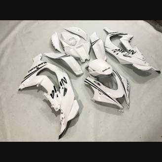 Carenage en abs pour la roue avec peinture compatible avec Kawasaki ZX10R 2016 - 2019 - MXPCAV12210