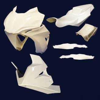 Kawasaki Ninja 125 2019 - 2020 race Fairings without Front Fender - MXPCRD12303