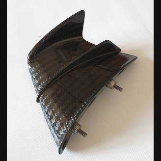 Ducati right and left winglets in carbon for Ducati Panigale V4 R - MXPCAV12291