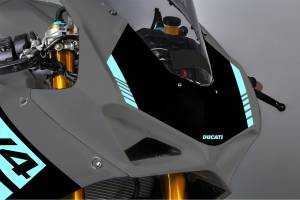 Carenado Racing Pintado Ducati Panigale V4 V4S - MXPCRV12364
