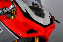 Painted Race Fairings Ducati Panigale V4 V4S - MXPCRV12364 2