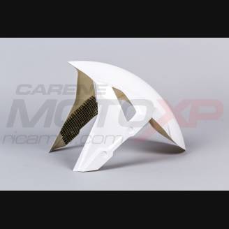 Pare-boue avant Bmw S 1000 RR 2019 -2020 - MXPCRD12120