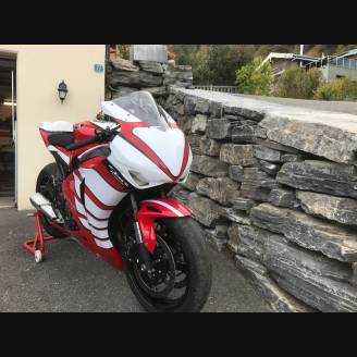 Honda Cbr 1000 2008 - 2011 Complete and painted fairings + tank cover, screws, fasteners MXPCRV12433