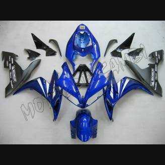 Lackierte Straße Verkleidung auf ABS kompatibel mit Yamaha R1 2004 - 2006 - MXPCAV1669