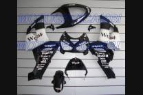 Carenage en abs pour la roue avec peinture compatible avec Kawasaki ZX6R 636 2005 - 2006 - MXPCAV1688 2