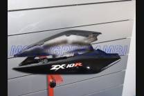 Carenage en abs pour la roue avec peinture compatible avec Kawasaki ZX10R 2004 - 2005 - MXPCAV1694 2